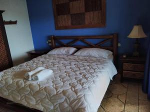 Casa Caletas Boutique Hotel