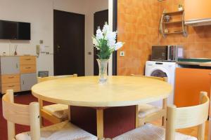 Apartment - ski slopes