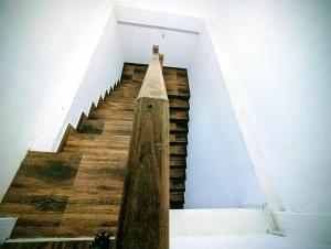 Costels Coconut hill