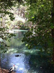 Villa Entre-Azahar, Tu refugio de tranquilidad