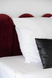 Spacieux appartement a Malakoff