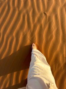 layali camp