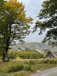 GUEST HOUSE PRIVAL.CLUB