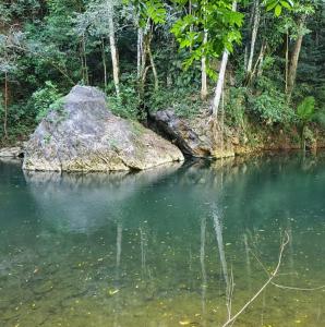 Barton Creek Unique Resort