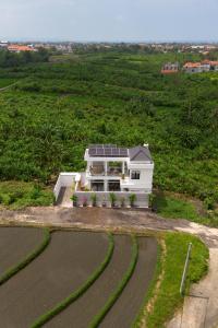 Laid Back Villa Canggu