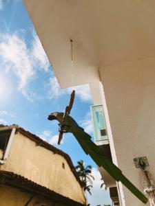 Pé na areia Ap completo 100m centro 300m praia