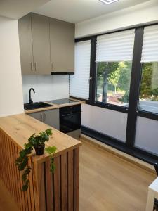 Inesaris Luxury Apartment