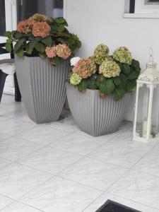 Sarkcsillag Vendégház