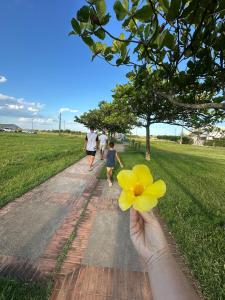 Ap em Palmas Conforto e Qualidade