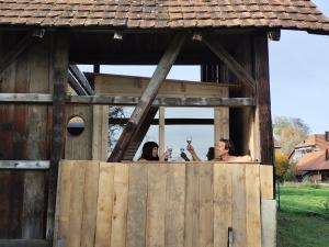 Gruppenunterkunft mit Billardtisch und Lamatrekking