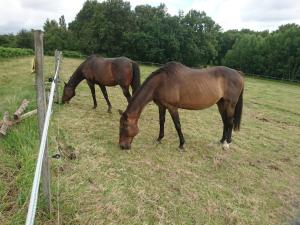 Aux vieux fours 4 chambres 2 salle deau