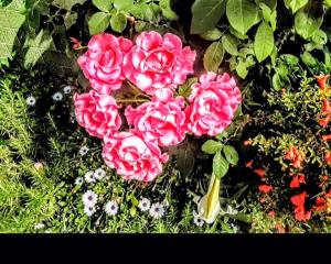 Habitación Azul Málaga
