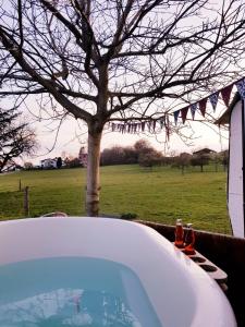 Uelis-Stöckli-Gästezimmer auf Bauernhof mit Billiard und Alpakatrekking