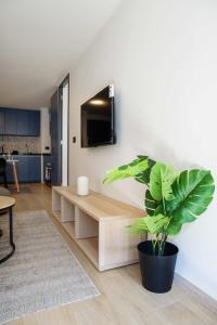 Charming Urban Retreat for Three in Las Condes