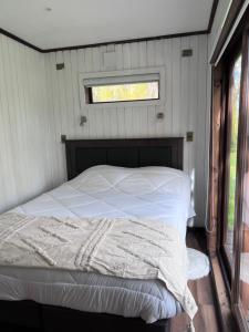 Cabaña entre alamos