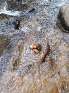 Casa Surpresa, Europäisches Flair