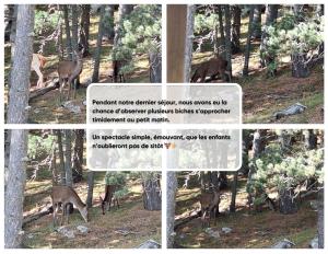 La Parenthèse - Appartement calme 100m pistes ski montagne randonnées Pyrénées