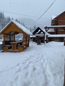 Лісова тиша номер - 1