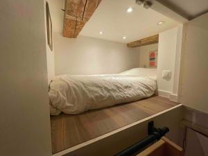 Canal view house - 17th century town house