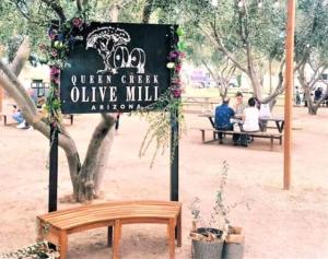 Desert Oasis STV QC Salt Pool and Baja Deck