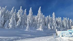 SleepWell Apartments Czarna Góra
