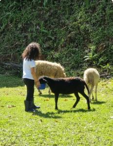 Sítio Toca da Onça- Lumiar