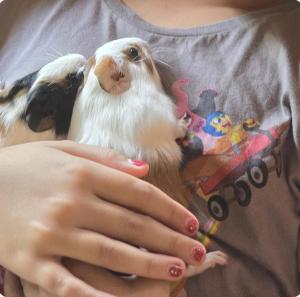 Sítio Toca da Onça- Lumiar