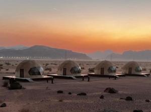 Wadi Rum Bubbles Luxury Camp