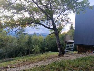 Мюзіка Карпат