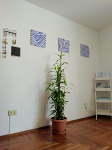 El Sol de Vilaró Dpto a mts de todo