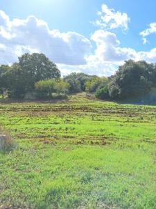 Caranna, Valle dItria, Puglia