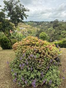 Encantadora finca en el corazón de Marinilla con vistas únicas y ubicación privilegiada