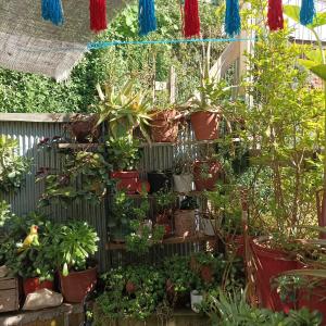 Casita Equipada Cerro Bellavista