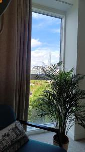 2 bed Luxury Full apt in Central London