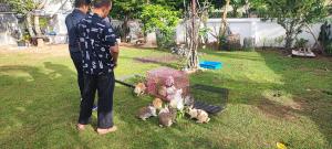 บ้านพักในสวนK&N2