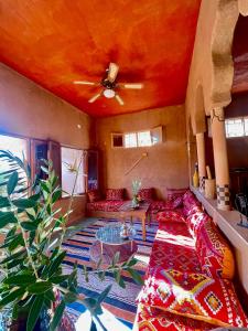 Dar Zitoune - Authentic Stay in Tagounite