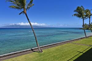 Lokelani A203 · LL A203 Gorgeous OceanFront 2BD Whale Watching