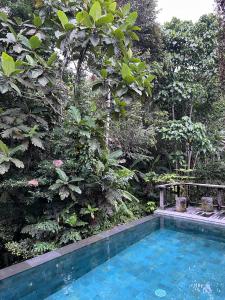 ElForest Villa Ubud, Payangan