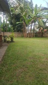 Calm Casita Luxury Villa in Matara