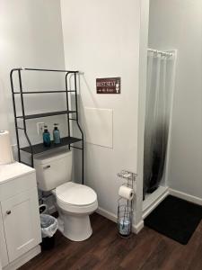 Luxurious 2 Studio Apartment Pool House