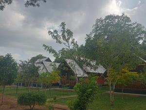 Seeing Green Udawalawa