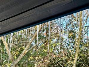 blue in green 飯田高原 cottage and cafe