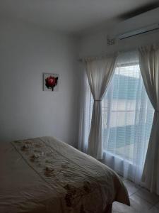 Sea shells self catering