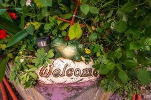 Apartments in Starigrad-Paklenica 6846