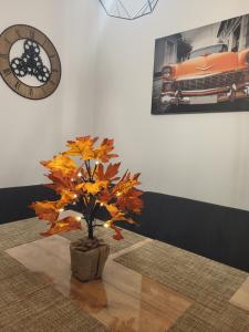 Cozy Home Cartier Milano 5