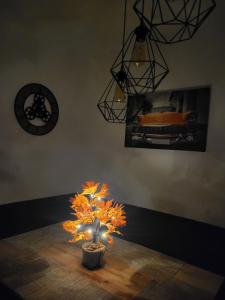 Cozy Home Cartier Milano 5