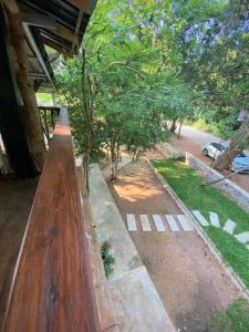 Jungle Trails