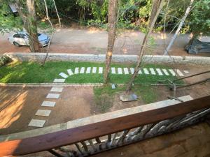 Jungle Trails