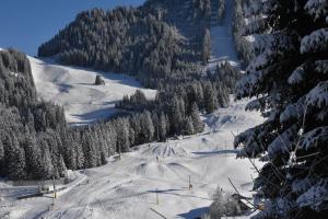 Hotel Singer – Relais & Châteaux