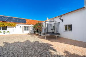 Orange Blossom Grove